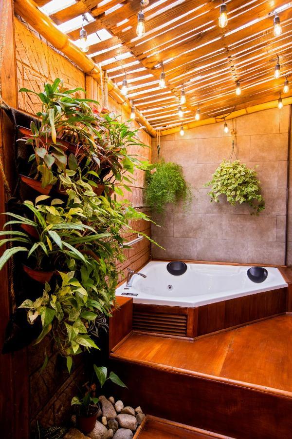 Casa Suculenta ,Monteverde Con Jacuzzi Privado Y Lavanderia المظهر الخارجي الصورة