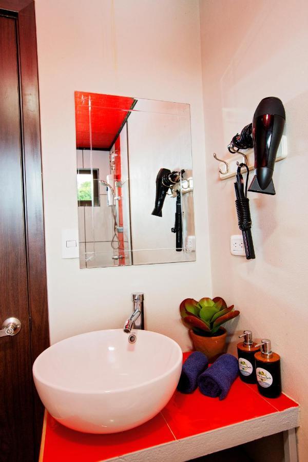 Casa Suculenta ,Monteverde Con Jacuzzi Privado Y Lavanderia المظهر الخارجي الصورة